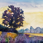 Beginner to Intermediate Watercolor Class (Session 2)