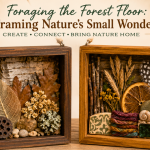Foraging the Forest Floor: Framing Nature's Small Wonders